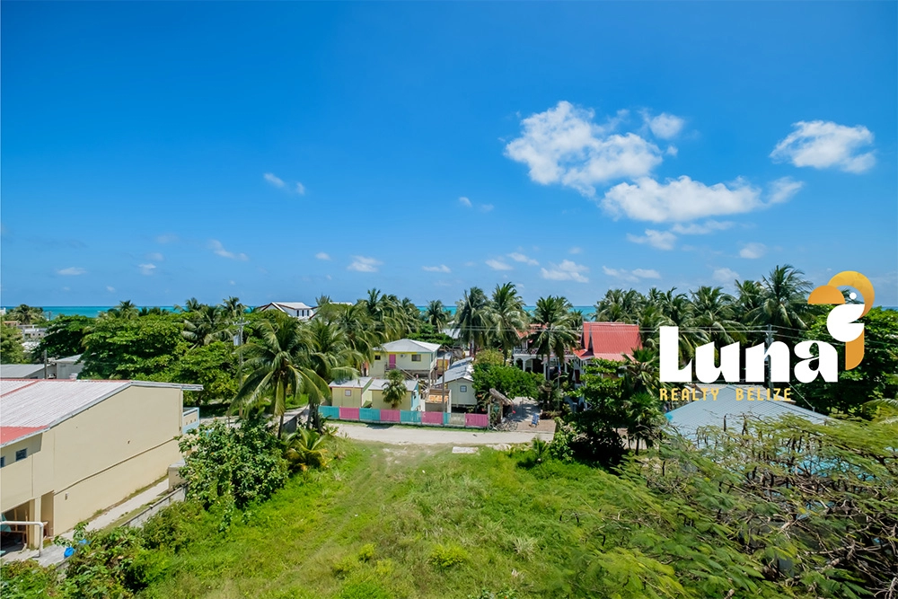 Tropical landscape with buildings and palm trees.