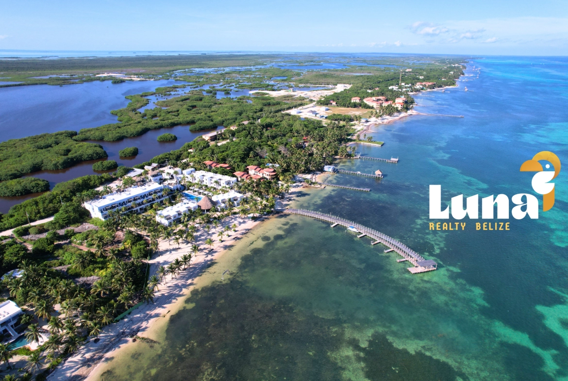Aerial view of beachfront resort and coastline.