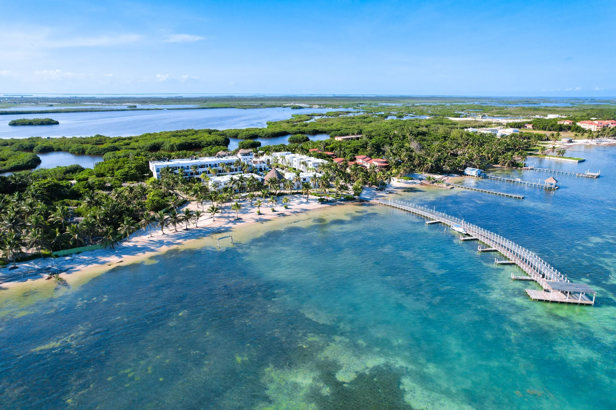 Silver Palm Belize